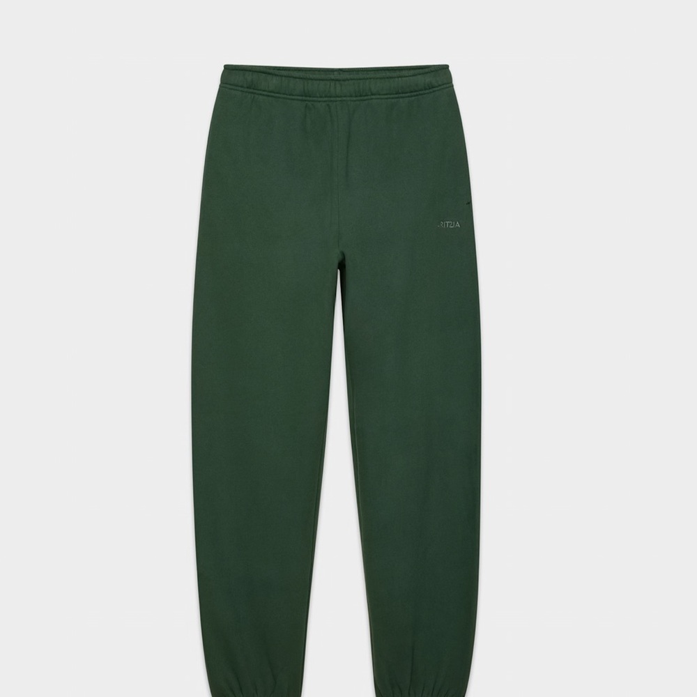 Aritzia Cozy Fleece Joggers